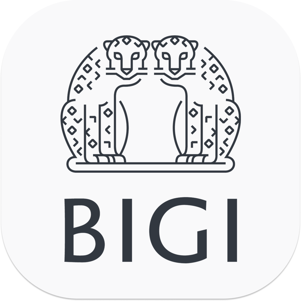 BIGI STORE ロゴ