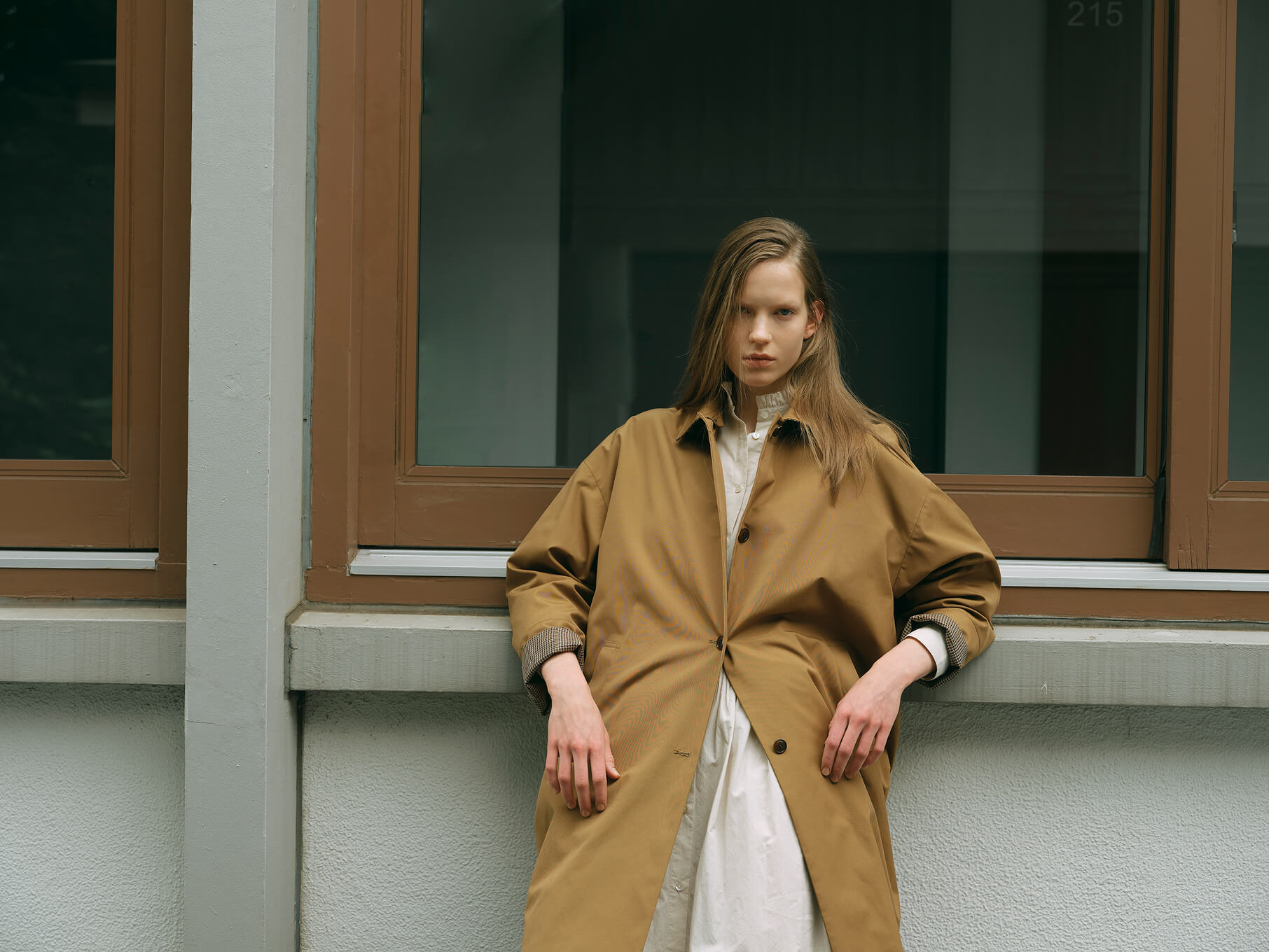 Coat Dress