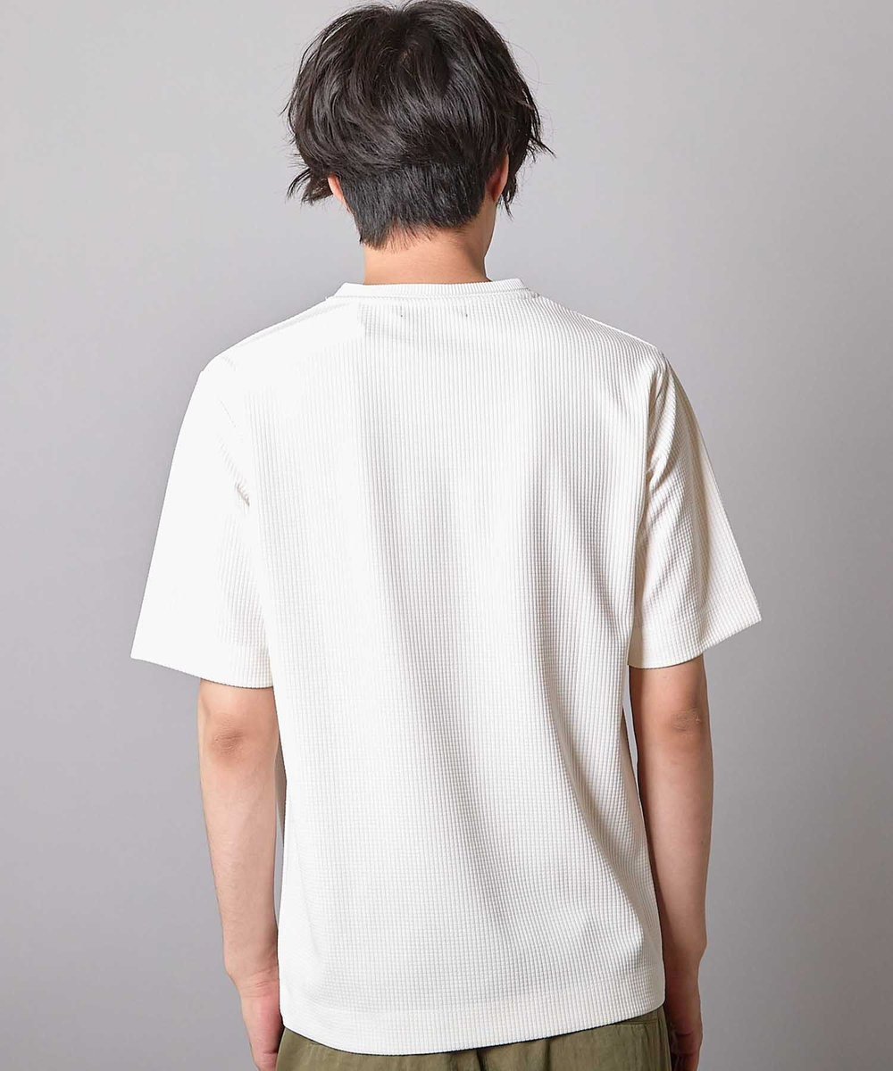 UNION STATION ジャガードストライプTシャツ ホワイト