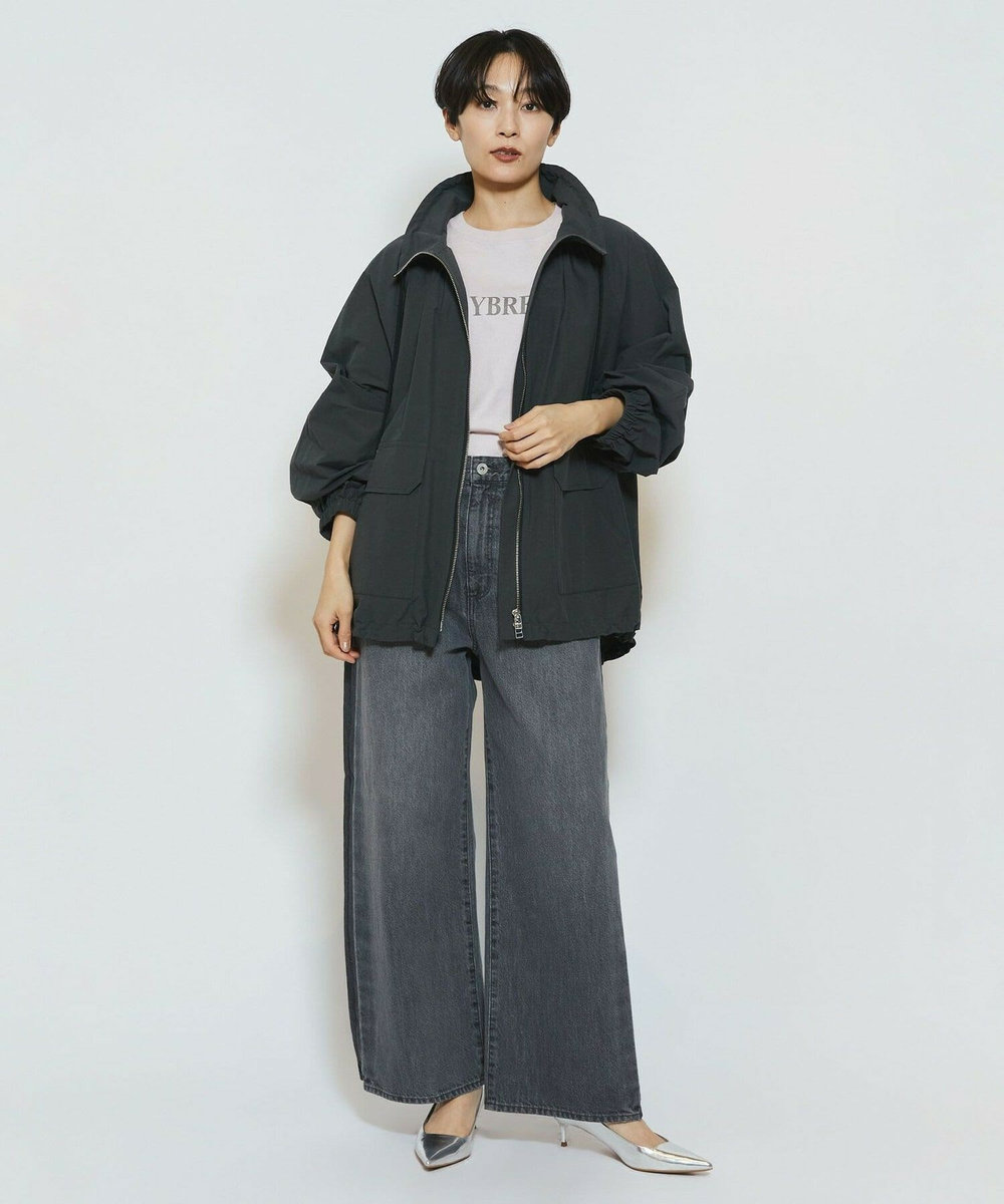 feerique feerique ラインデニムパンツ グレー