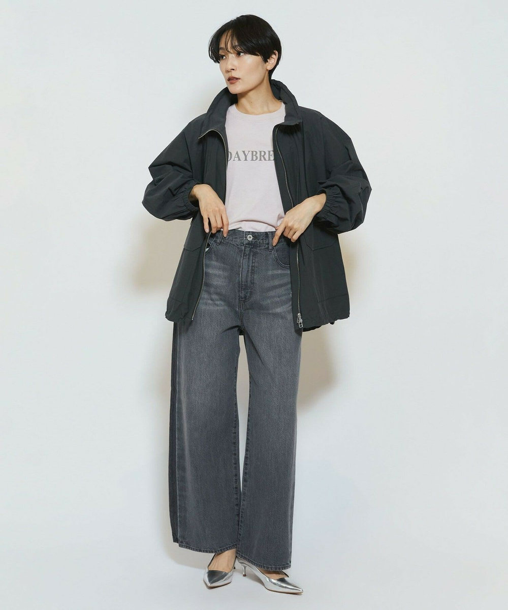 feerique feerique ラインデニムパンツ グレー