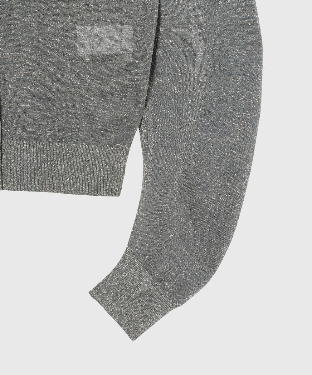 DÉPAREILLÉ VISCOSE LAME CARDIGAN / ヴィスコースラメカーディガン グレー