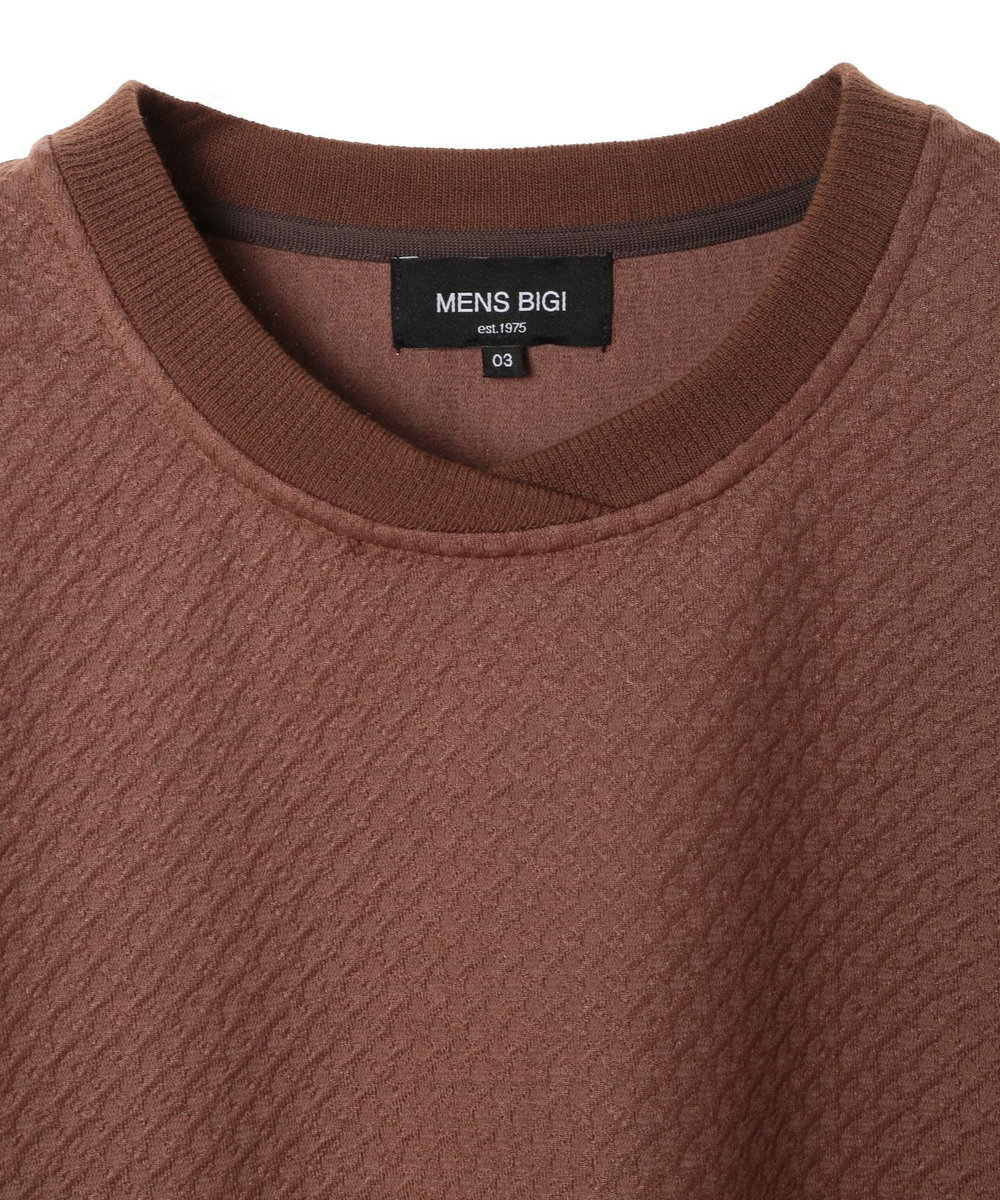 MEN'S BIGI フクレジャガード　クルーネックリブカットソー ブラウン