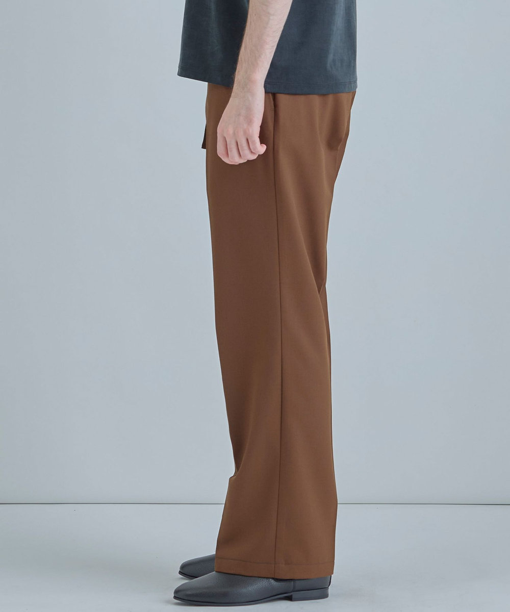 MEN'S BIGI 【Dickies（R）/ディッキーズ（R）】別注 SMART MERINO 875 ワークパンツ ブラウン