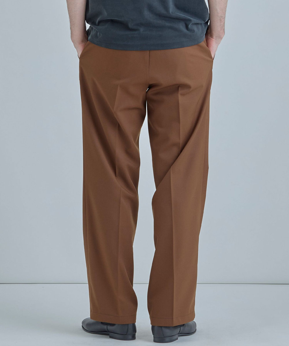 MEN'S BIGI 【Dickies（R）/ディッキーズ（R）】別注 SMART MERINO 875 ワークパンツ ブラウン