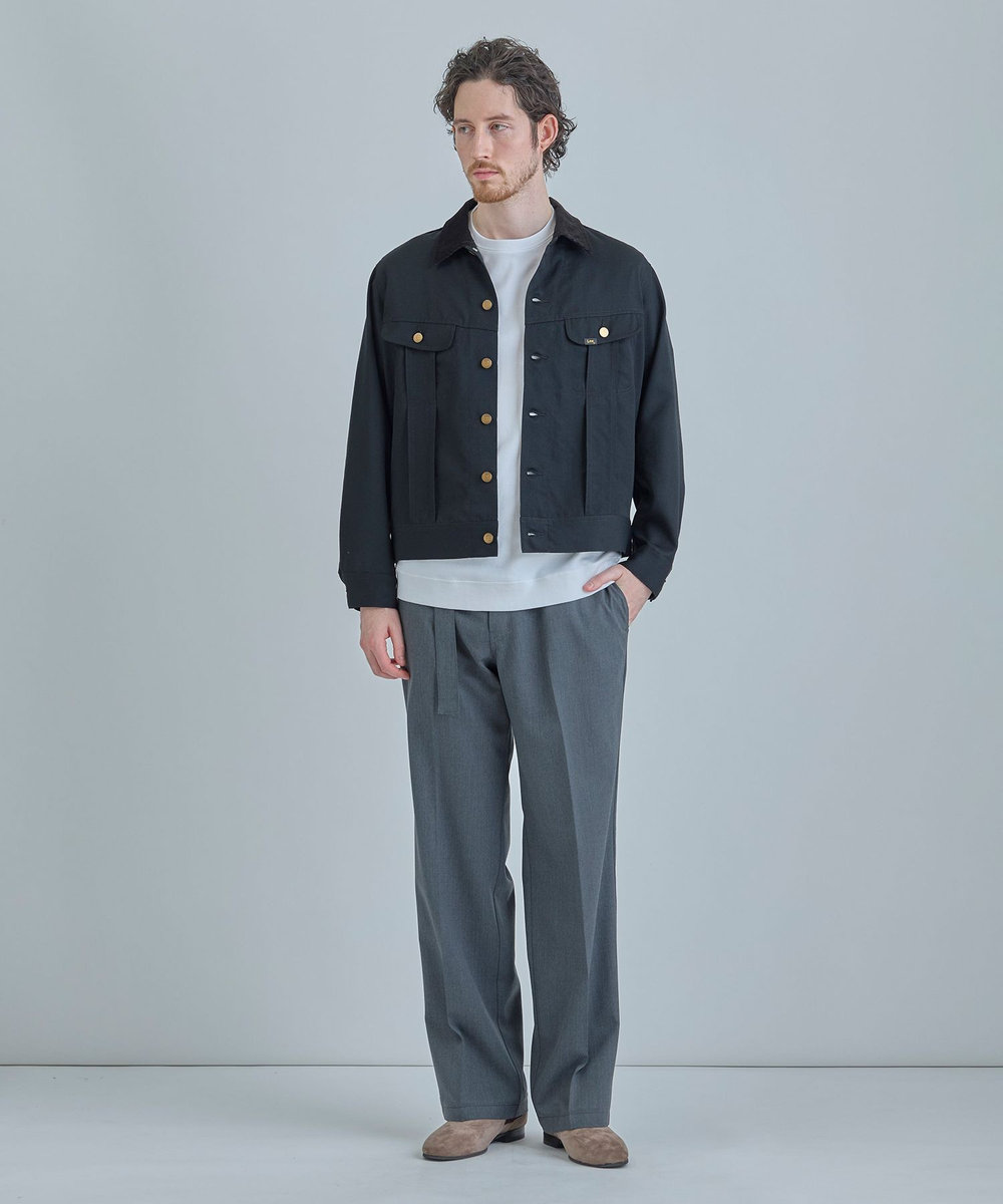 MEN'S BIGI 【Dickies（R）/ディッキーズ（R）】別注 SMART MERINO 875 ワークパンツ グレー