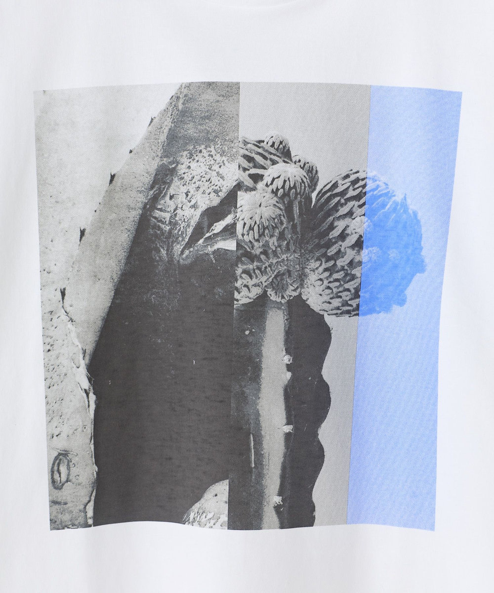 MEN'S BIGI 【THE FASCINATED/ザ ファシネイテッド】コラボ サボテンブルーグラフィックTシャツ ホワイト系その他