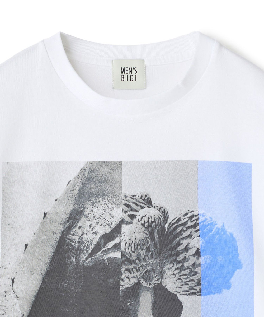 MEN'S BIGI 【THE FASCINATED/ザ ファシネイテッド】コラボ サボテンブルーグラフィックTシャツ ホワイト系その他