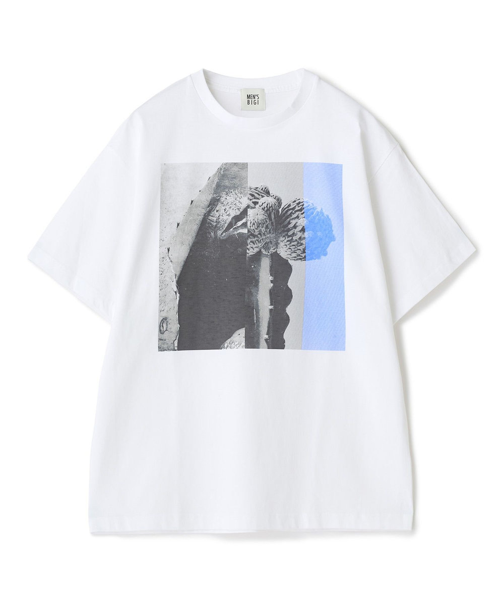 MEN'S BIGI 【THE FASCINATED/ザ ファシネイテッド】コラボ サボテンブルーグラフィックTシャツ ホワイト系その他