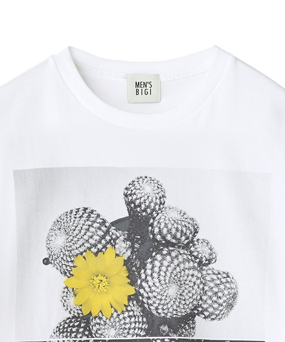 MEN'S BIGI 【THE FASCINATED/ザ ファシネイテッド】コラボ サボテンイエローグラフィックTシャツ ホワイト系その他