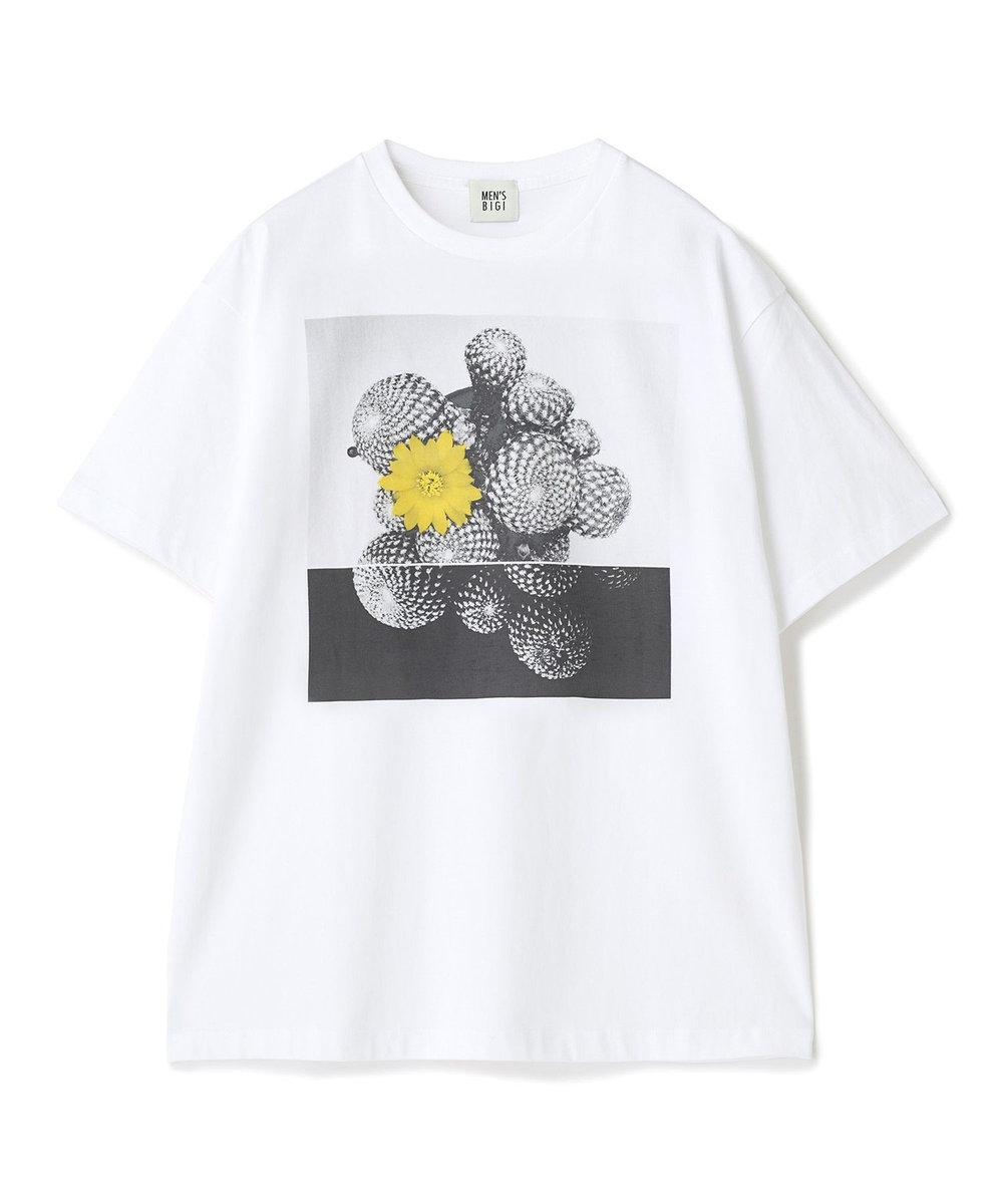 MEN'S BIGI 【THE FASCINATED/ザ ファシネイテッド】コラボ サボテンイエローグラフィックTシャツ ホワイト系その他
