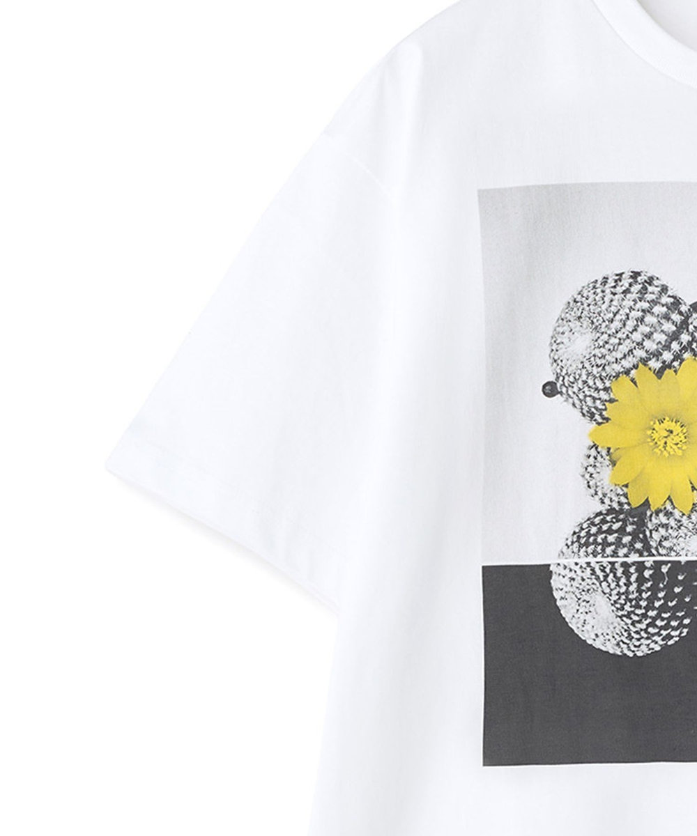 MEN'S BIGI 【THE FASCINATED/ザ ファシネイテッド】コラボ サボテンイエローグラフィックTシャツ ホワイト系その他