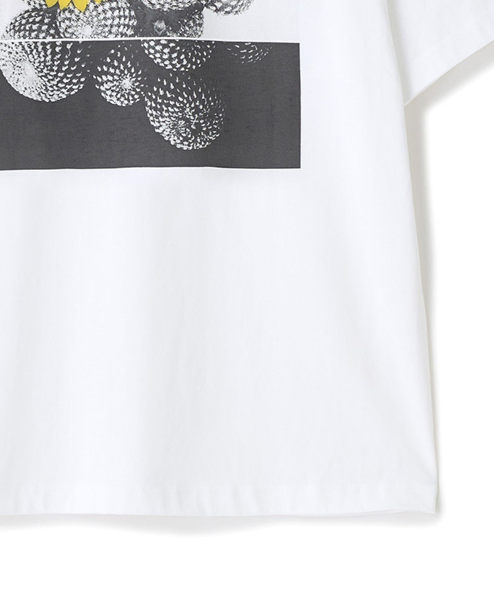 MEN'S BIGI 【THE FASCINATED/ザ ファシネイテッド】コラボ サボテンイエローグラフィックTシャツ ホワイト系その他