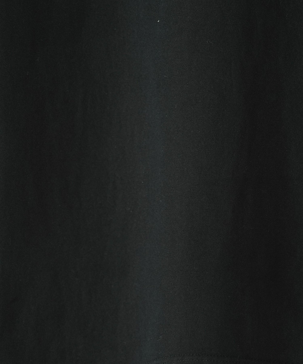 MEN'S BIGI 【DENHAM/デンハム】別注 バックプリントTEE ブラック