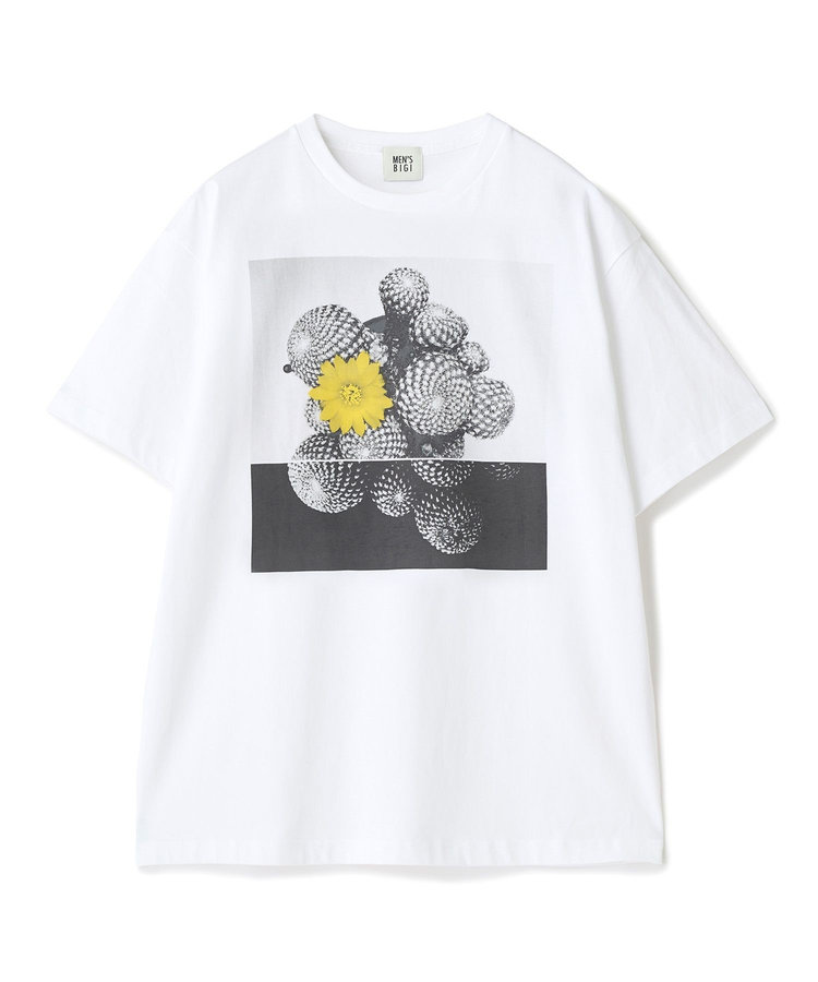 【THE FASCINATED/ザ ファシネイテッド】コラボ サボテンイエローグラフィックTシャツ
